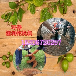 大直径地钻机种植机械雷创牌 大棚杆挖洞机 钻孔/光伏桩钻机/公路护栏钻机