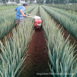 新疆葡萄专用埋藤机 柴油动力田园管理机 柴油360度旋转开沟机