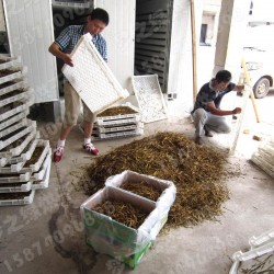 41红枣干燥机 黄花菜烘干设备 果脯烘干 多功能烘干机