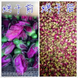 供应庆华烘干设备、苦菊花烘干机、玫瑰花烘干机、金银花烘干机、百合花烘干机