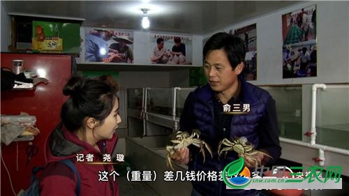 [致富经]江苏苏州俞三男：阳澄湖养蟹状元是如何炼成的