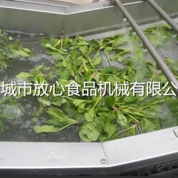 蔬菜清洗机|果蔬清洗机厂家直销质量好放心机械