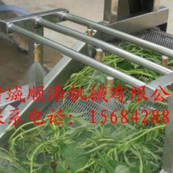 厂家直销茼蒿清洗机 芦荟清洗机 不锈钢气泡喷淋式蔬菜清洗机