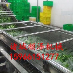 厂家直销山野菜清洗机 304气泡清洗机 蔬菜清洗机 自动清洗机