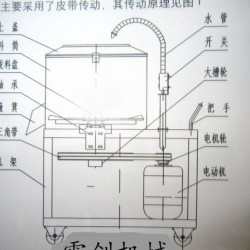 土豆脱皮机 介休市脱皮机价格 大型土豆脱皮清洗机 马铃薯去皮