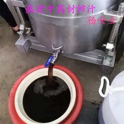 新鲜中药植物汁液提取设备  中药草本植物酵素压榨机  酵素压榨机