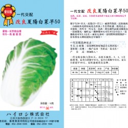 供应夏阳白菜种子