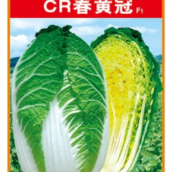 供应CR春黄冠