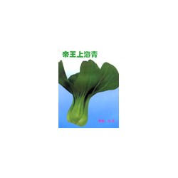 帝王上海青——青菜种子