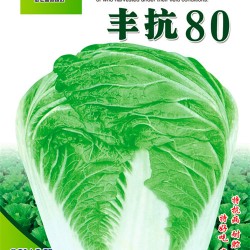 供应丰抗80—白菜种子