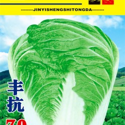 供应丰抗70—白菜种子