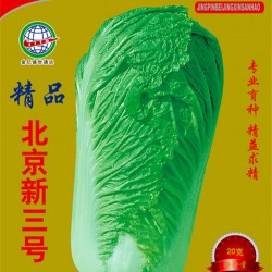 供应精品北京新三号（盛世通达）—白菜种子