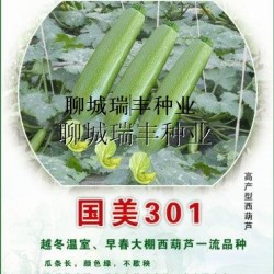 供应国美301—西葫芦种子