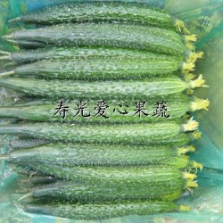 供应寿光箱装套菜、精装套菜——黄瓜