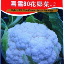 供应喜雪80花椰菜—花椰菜种子