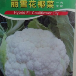 供应丽雪花椰菜—花椰菜种子