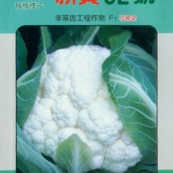 供应新贵62号—花椰菜种子