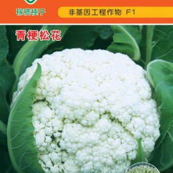 供应台丽65天-花椰菜种子