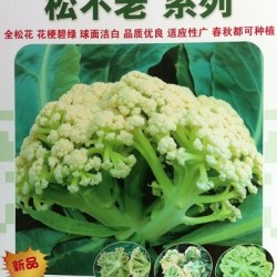 供应—花椰菜种子