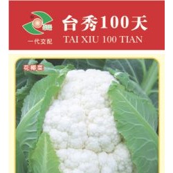 供应台秀100天—花椰菜种子