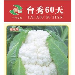 供应台秀60天—花椰菜种子