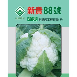 供应新贵88号—花椰菜种子