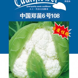 供应中国郑苗6号108—花椰菜种子