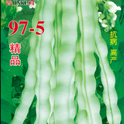 供应97-5—架豆种子