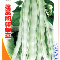 供应蓬莱阁棒架豆—菜豆种子