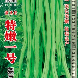 供应特嫩一号—架豆种子