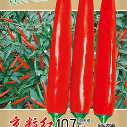 供应京粒红107——辣椒种子