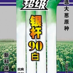 供应超级银杆90白—大葱种子